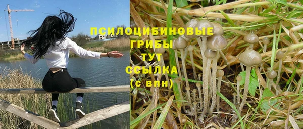 мет Богданович
