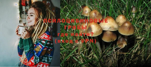 мет Богданович