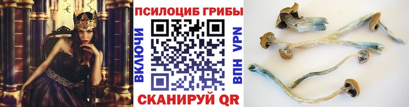 где найти   Верхоянск  Псилоцибиновые грибы прущие грибы 